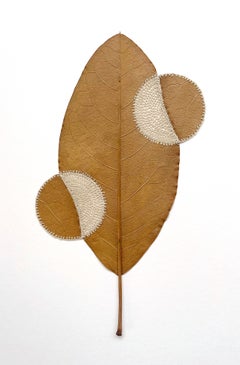 Outwards II - contemporary crochet dried magnolia leaf nature art framed