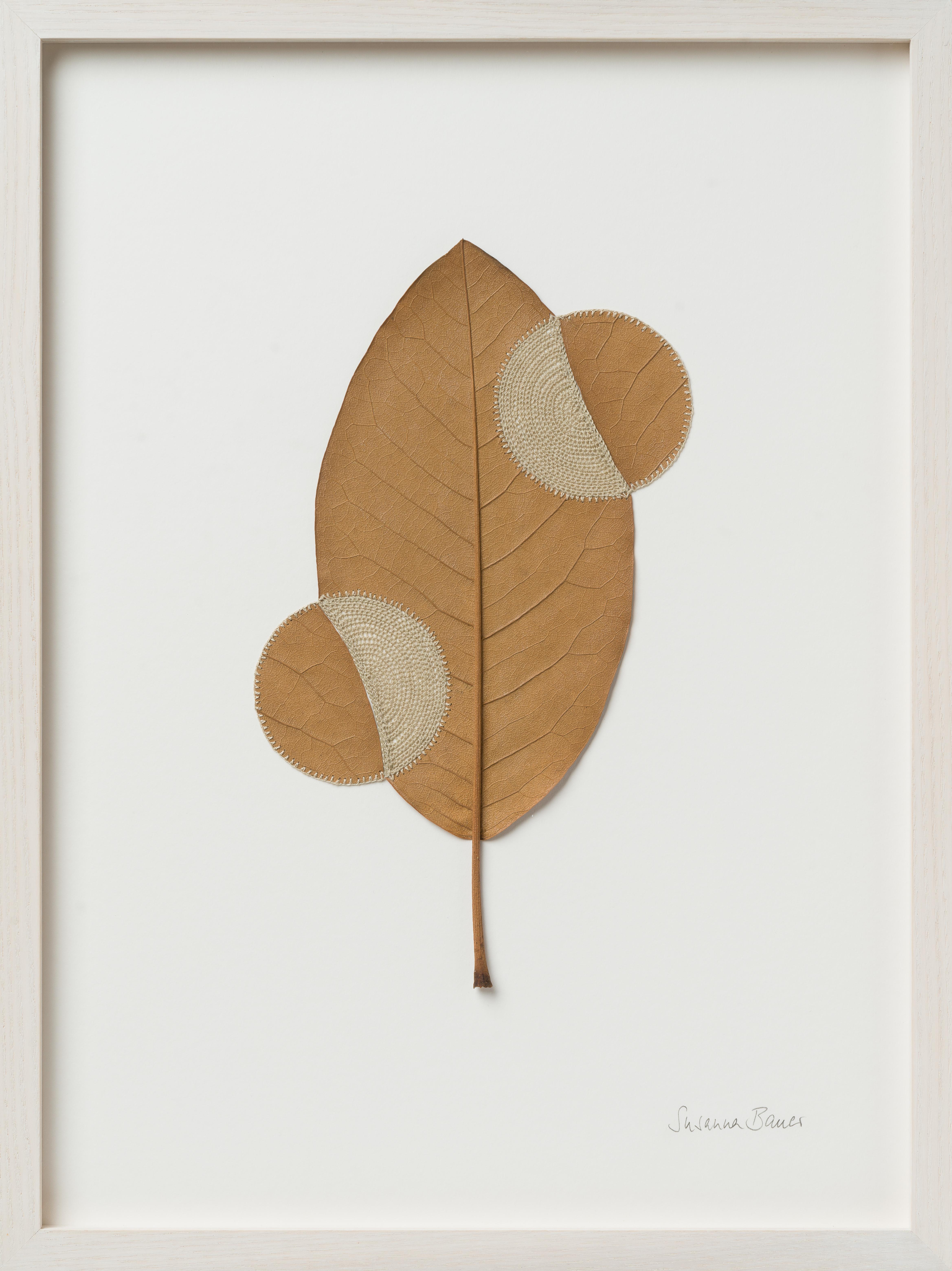 Outwards - intricate embroidery on dried magnolia leaf framed nature art - Art by Susanna Bauer