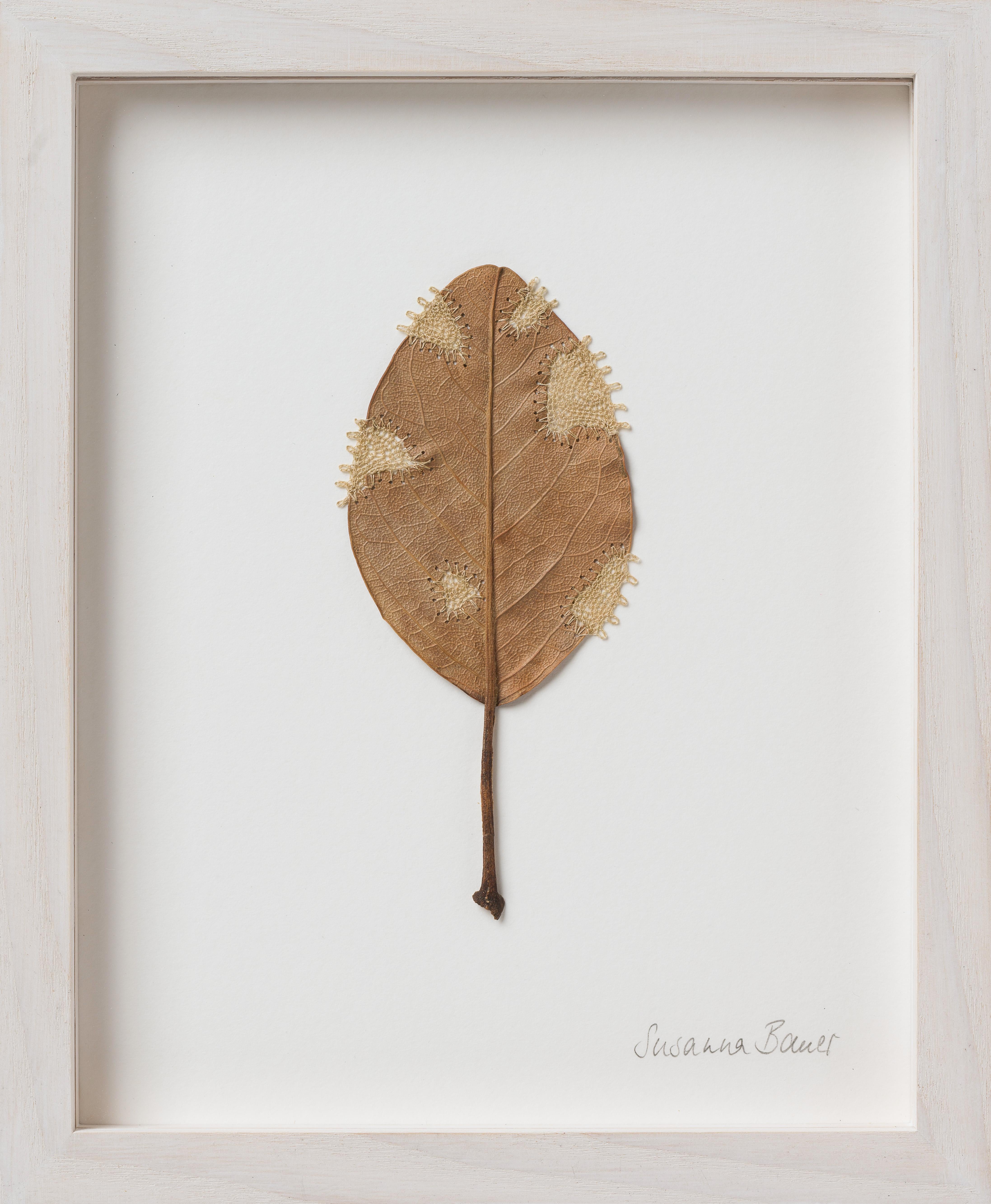 Restoration VII - Intricate contemporary crochet leaf nature art - Mixed Media Art by Susanna Bauer