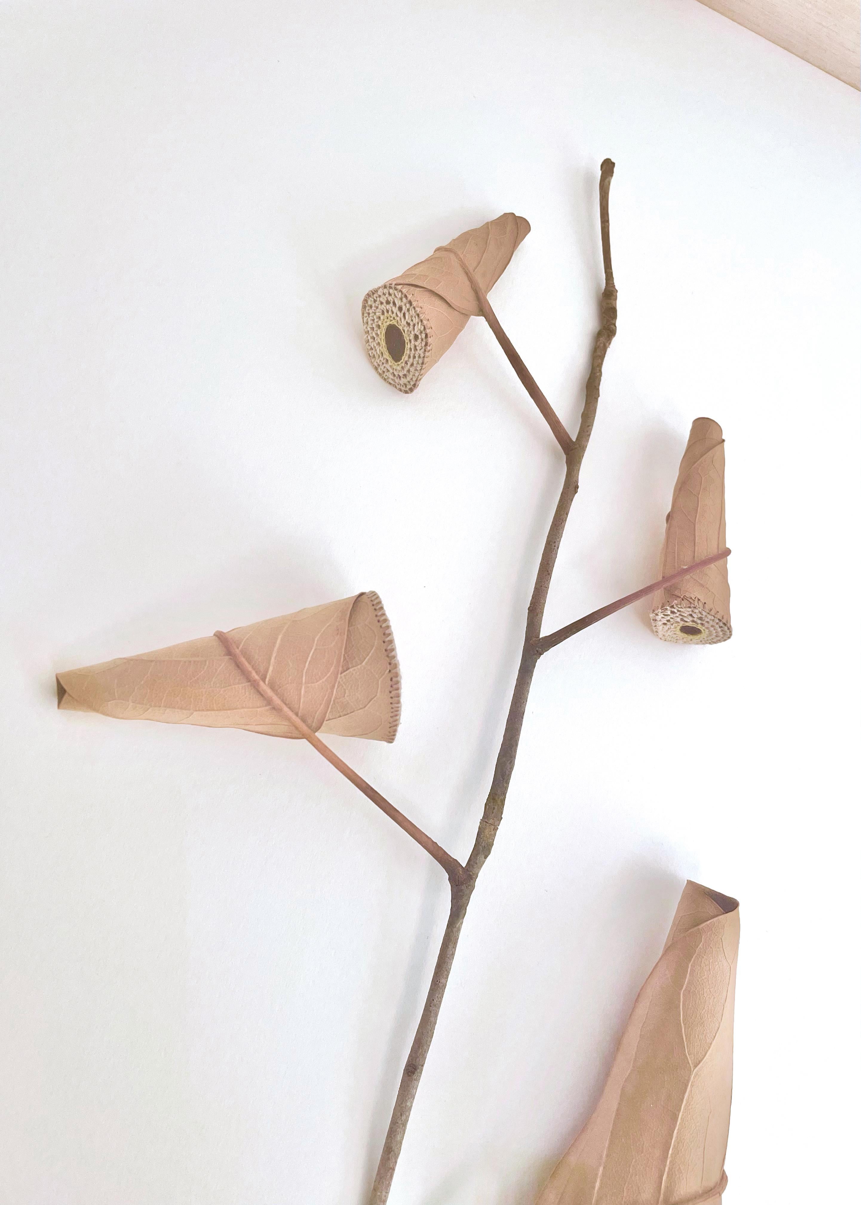 Díptico Rising I y II -Intrincado arte de la naturaleza con hojas de ganchillo contemporáneo en venta 4