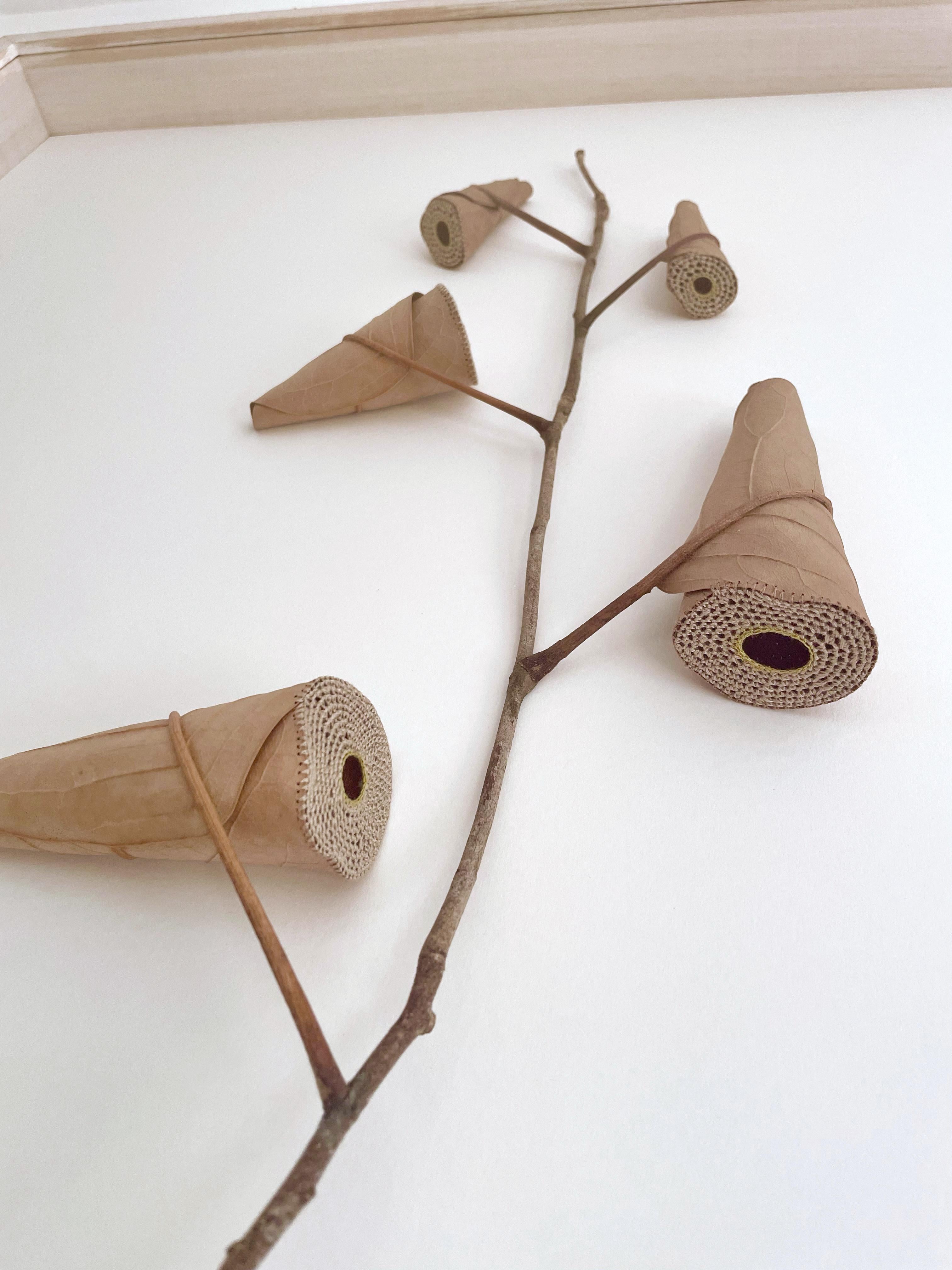Díptico Rising I y II -Intrincado arte de la naturaleza con hojas de ganchillo contemporáneo en venta 6