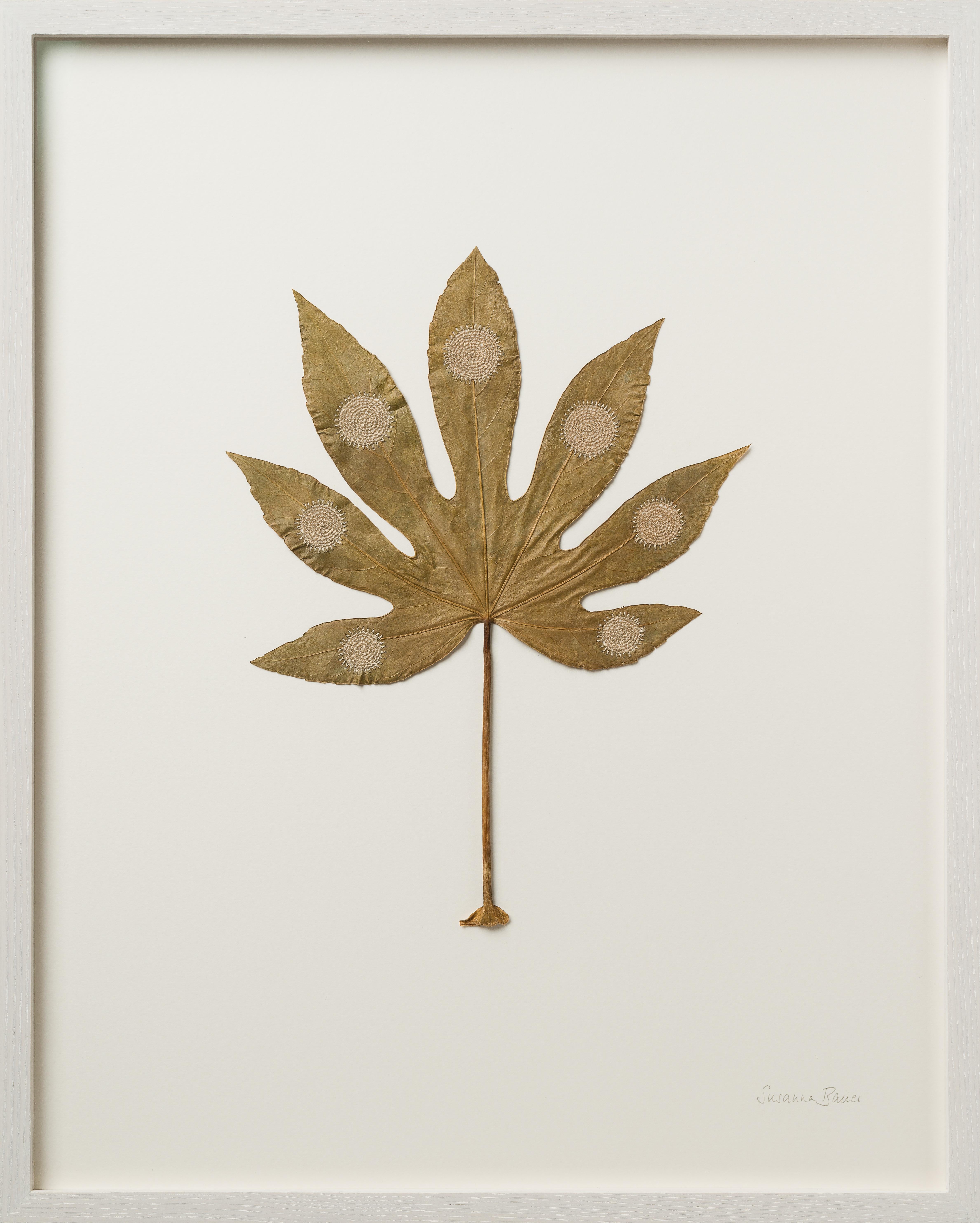Seven  - contemporary crochet dried fatsia leaf nature art framed - Mixed Media Art by Susanna Bauer
