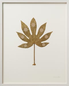 Seven  - contemporary crochet dried fatsia leaf nature art framed