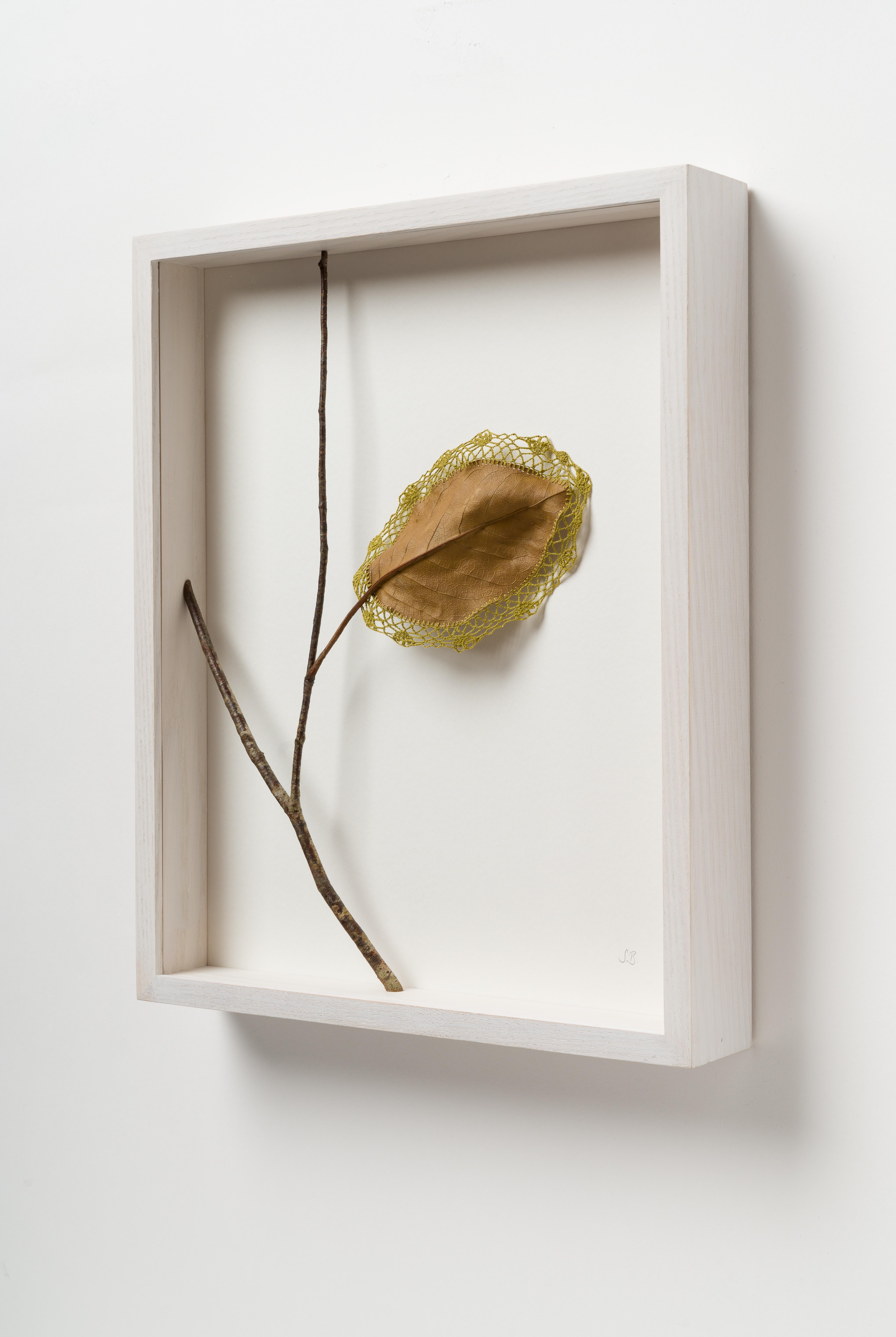 Spring Song VIII - Art contemporain encadré de feuilles de magnolia séchées au crochet - Contemporain Mixed Media Art par Susanna Bauer