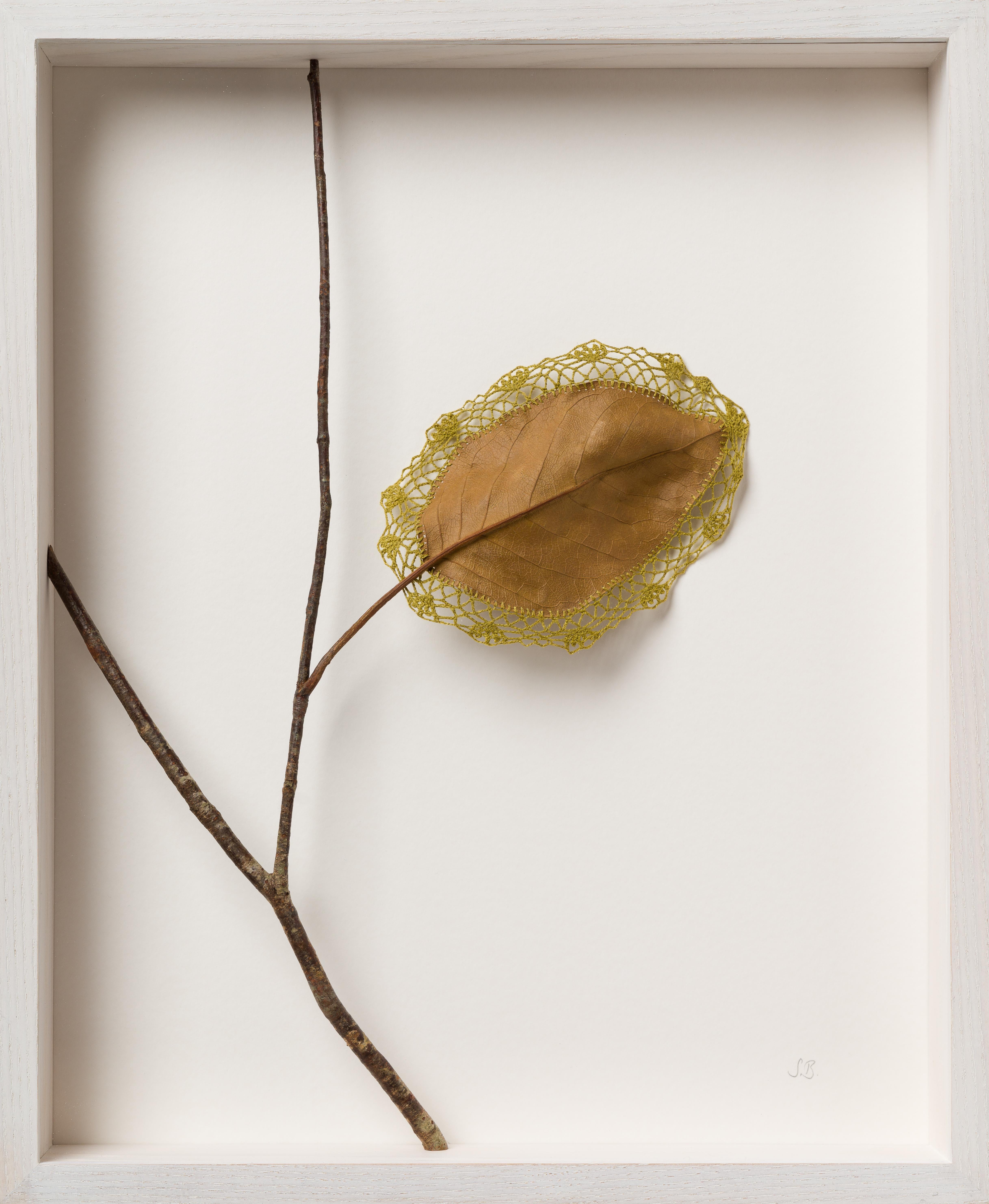 Bauer travaille avec des objets naturels trouvés. Feuilles, pierres, morceaux de bois... des éléments naturels éphémères, facilement négligés. Elle utilise le crochet, parfois comme embellissement, mais surtout de manière non conventionnelle comme