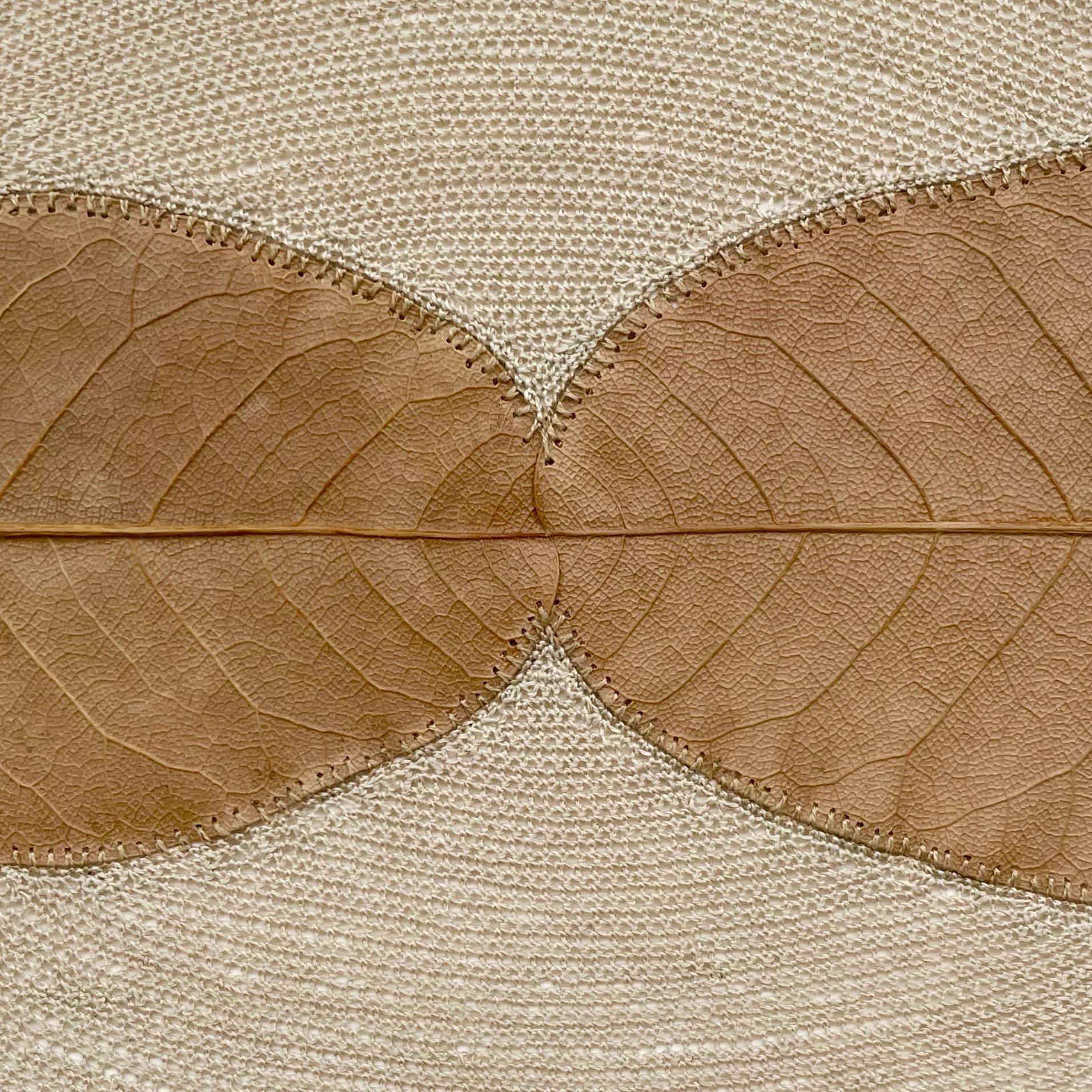 Toque II - ganchillo contemporáneo hojas secas- arte mural naturaleza enmarcado - Art Contemporáneo de Susanna Bauer