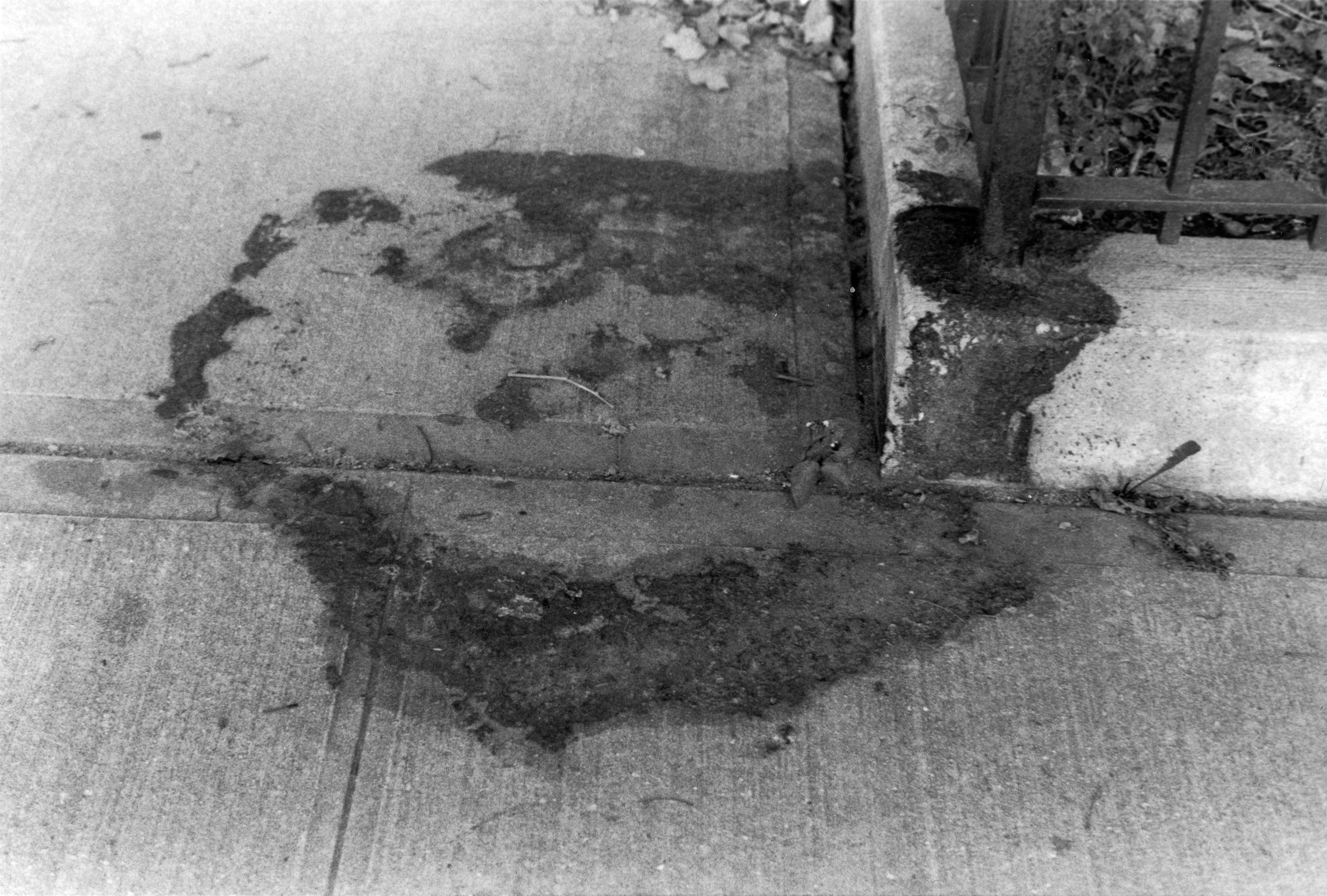 Black and White Photograph de Susannah Slocum - sin título