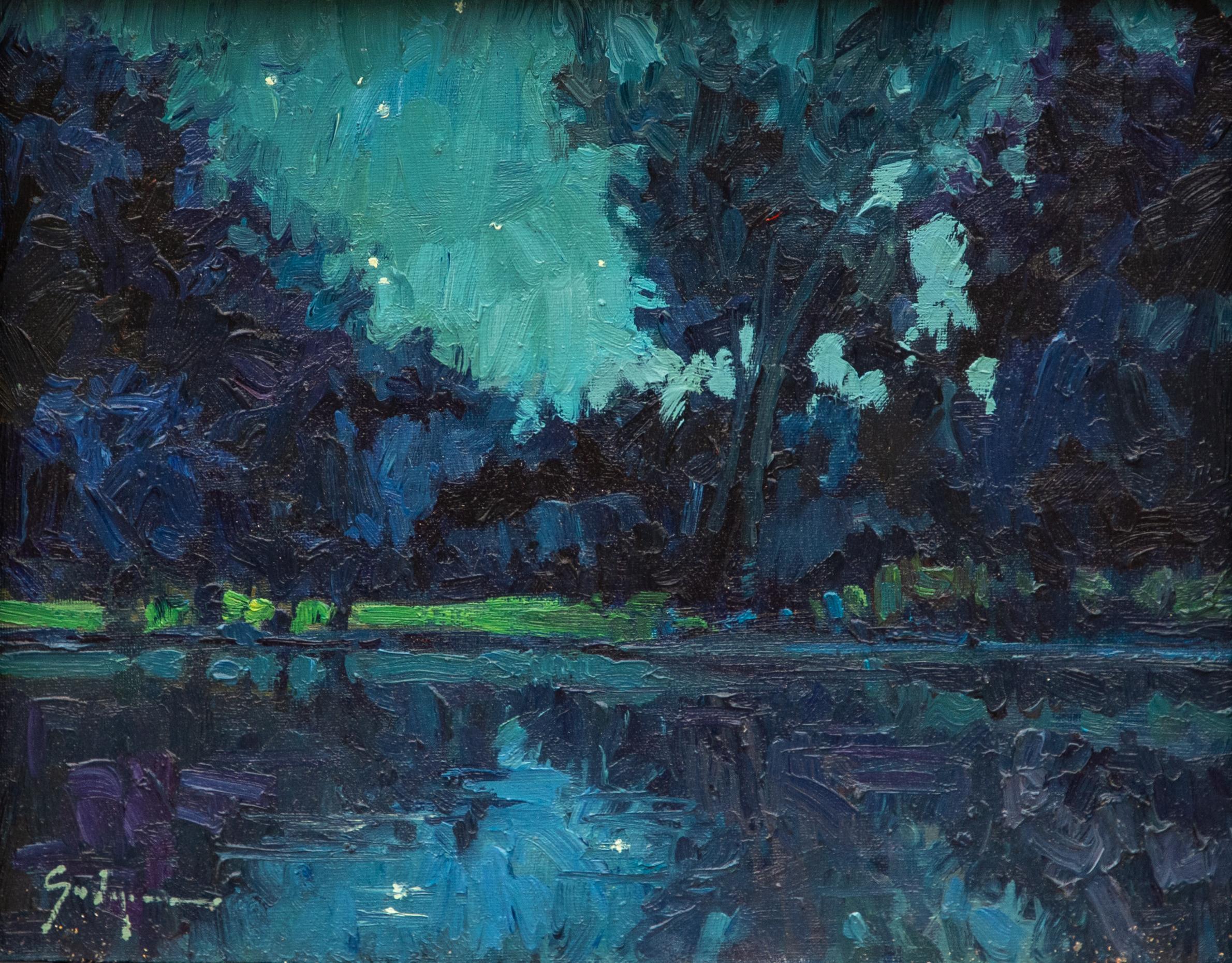 Franz Lake Nocturne (Impressionismus), Painting, von Susie Hyer