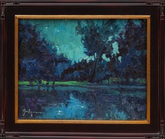 Franz Lake Nocturne