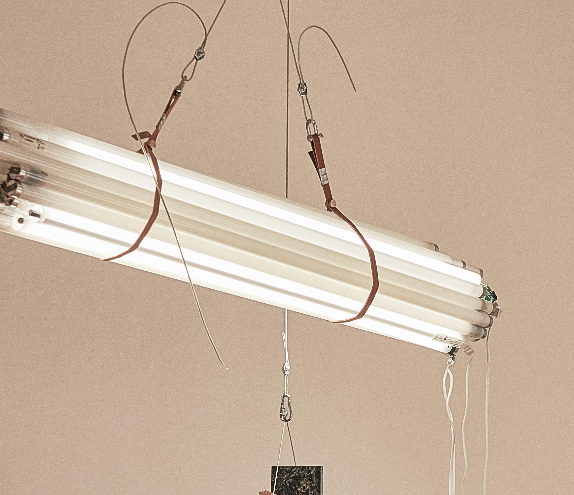 Unique Suspended Sculptural Lamp 