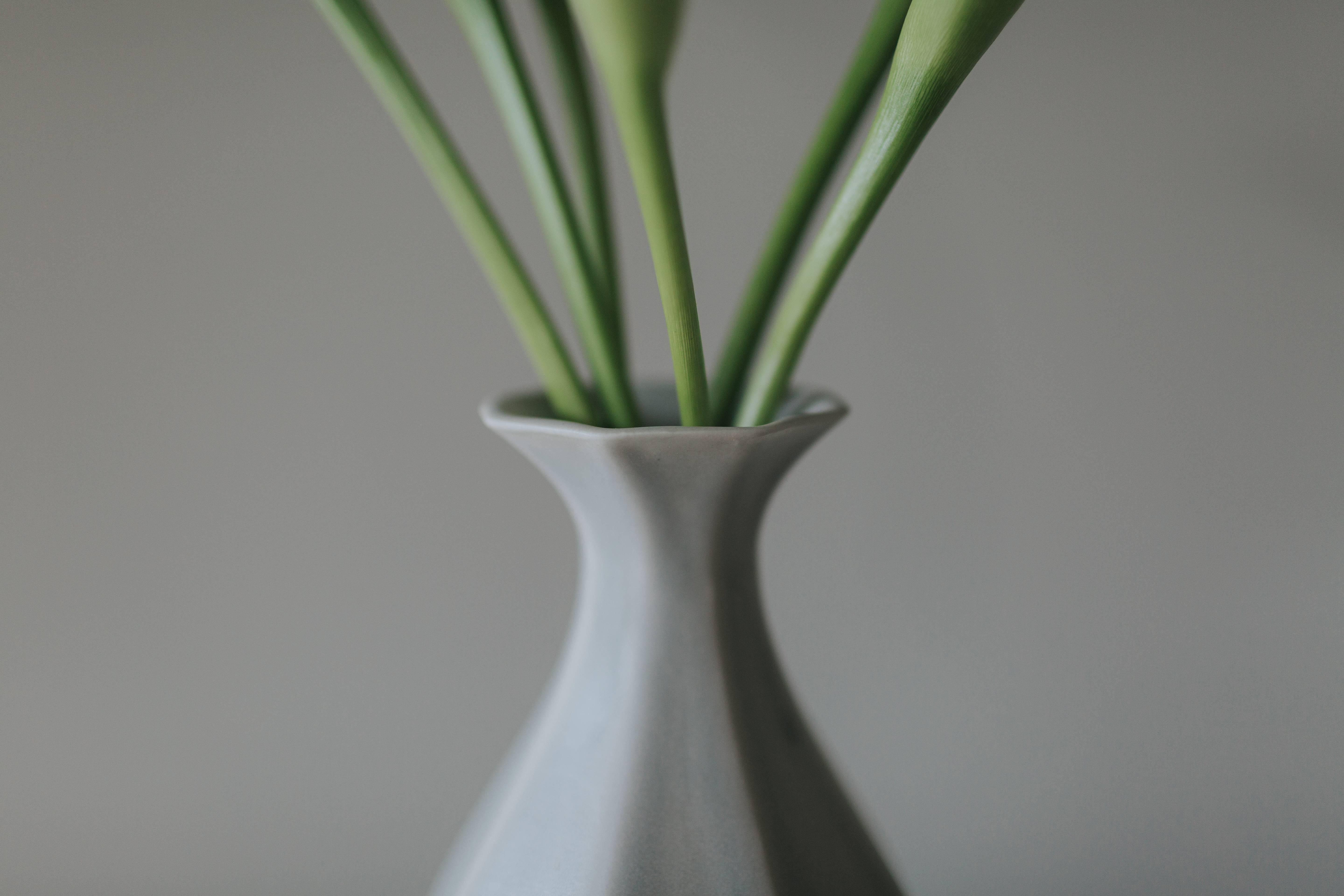 contemporary flower vase