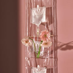 Abgehängter Pflanzschirm Driade Erbale Entwurf Becchelli, Bortolani, Maffei