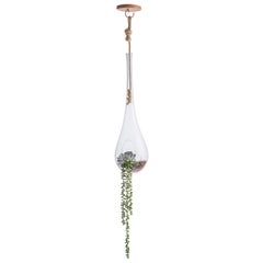 Suspended Terrarium Nest Big Cupola, Brazilian Wood, Glass and Sisal