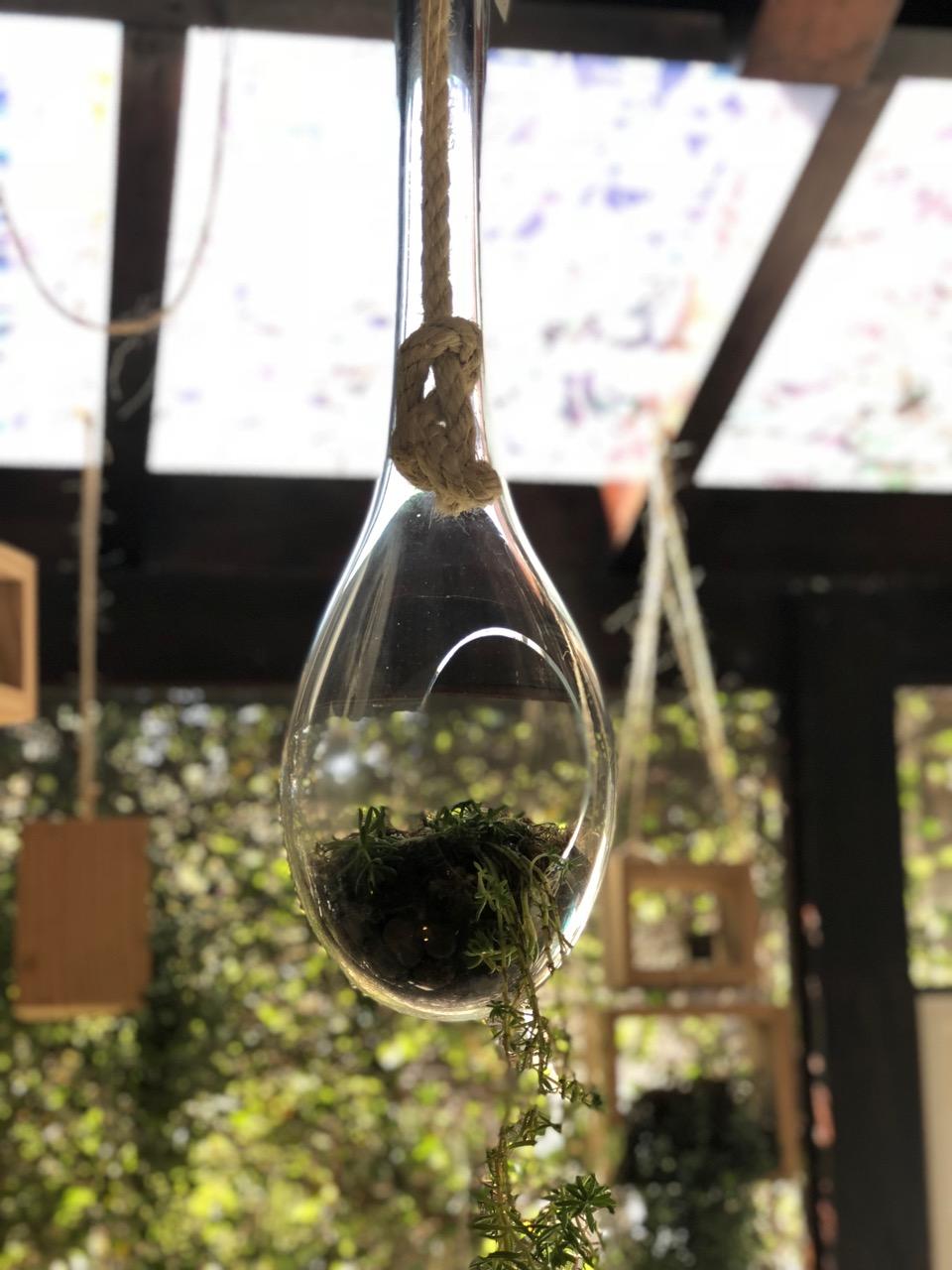 Suspended Terrarium Nest Small Cupola, Brazilian Wood, Glass and Sisal In New Condition For Sale In Bento Goncalves, Rio Grande do Sul