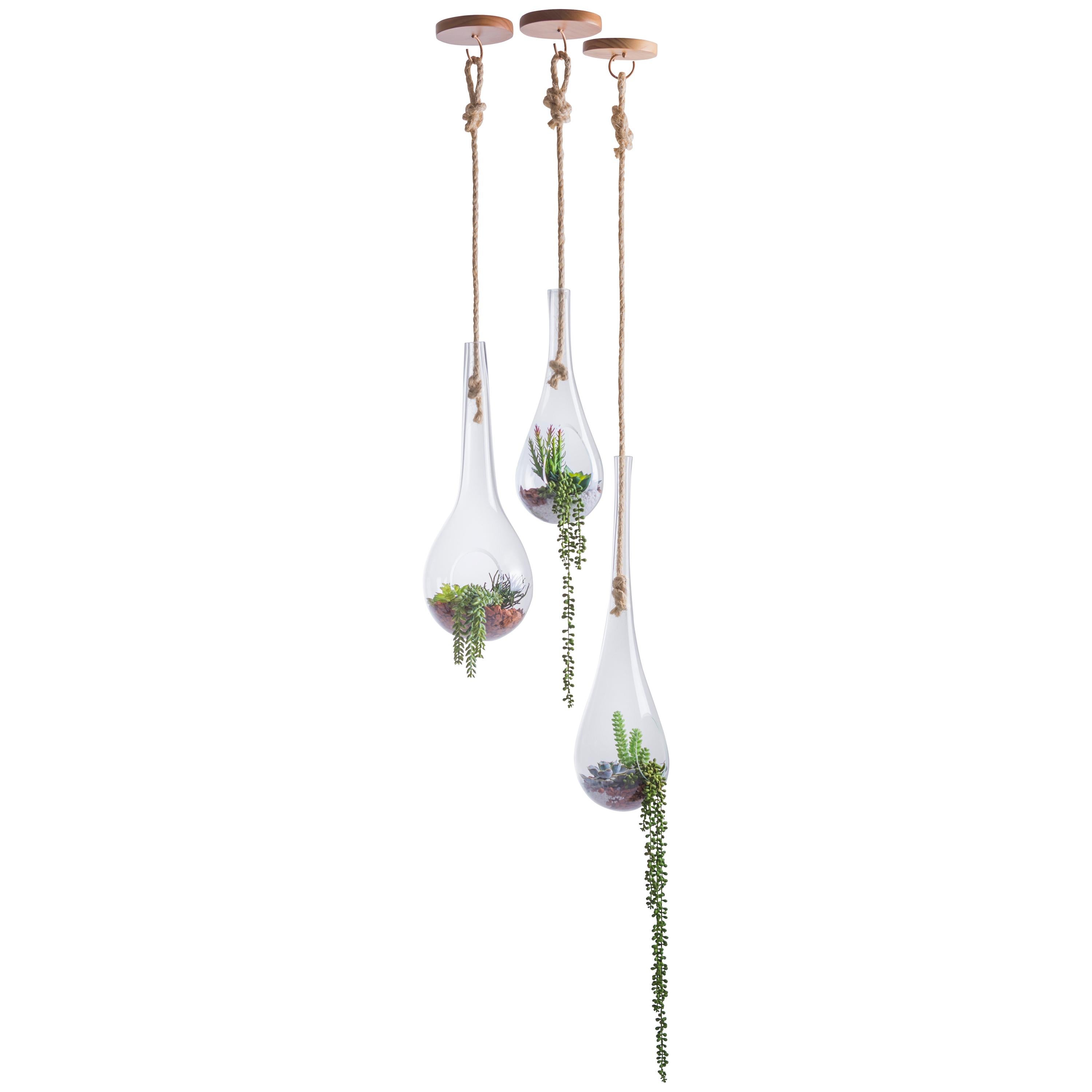 Hand-Crafted Suspended Terrarium Nest Small Cupola, Brazilian Wood, Glass and Sisal For Sale