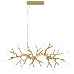 Suspensión Acropora con acabado metálico dorado mate