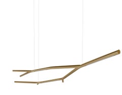 Suspension lamp Casamania & Horm Aira Suspension design Marcantonio