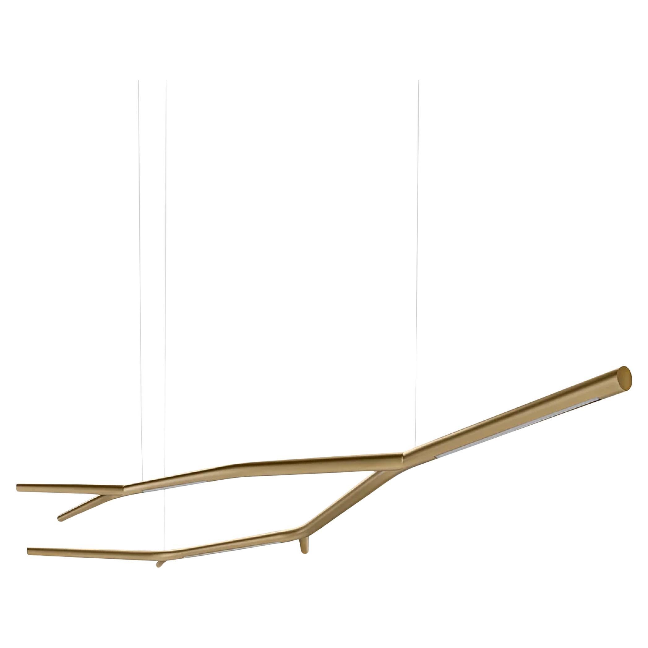 Suspension lamp Casamania & Horm Aira Suspension design Marcantonio