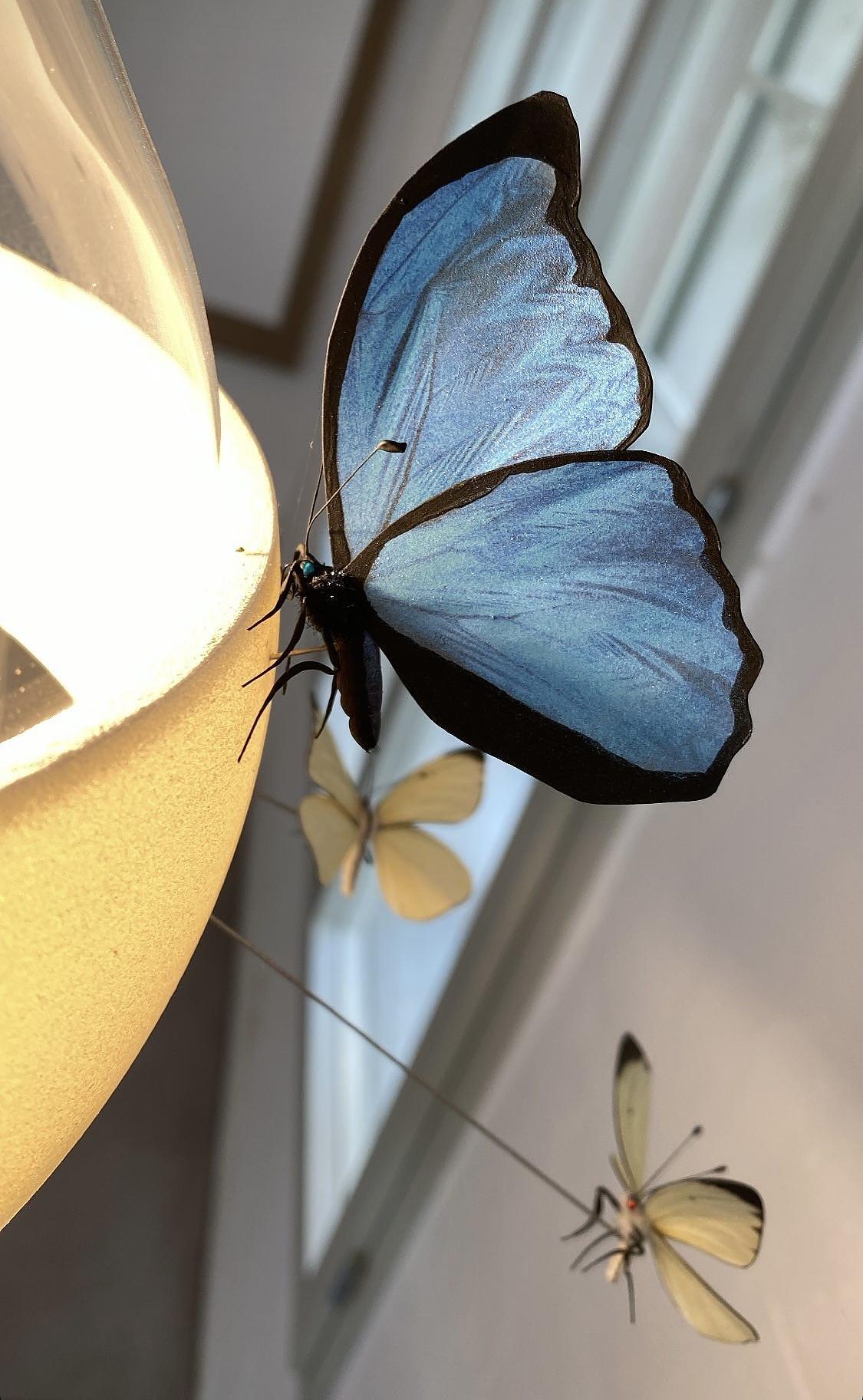 Marca: Ingo Maurer
Model No: Flatterby
Diseñador: Ingo Maurer

Flatterby es un objeto luminoso de edición limitada (200 piezas) con diez modelos de insectos hechos a mano que zumban alrededor de una gran bombilla de cristal. El anillo de plástico