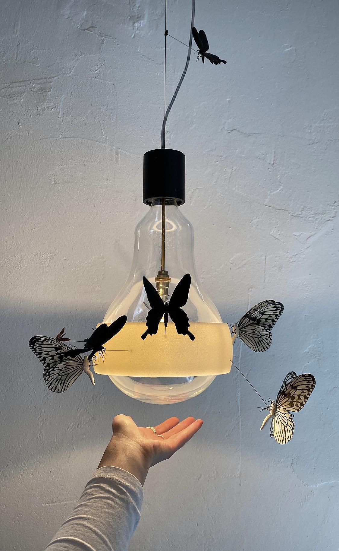 Lámpara de suspensión Ingo Maurer Flatterby Alemán en venta