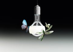 Suspension lamp Ingo Maurer Johnny B. Butterfly