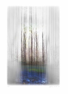 Space 
Space/Nature-1204