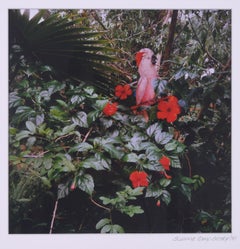 Oiseau et hibiscus