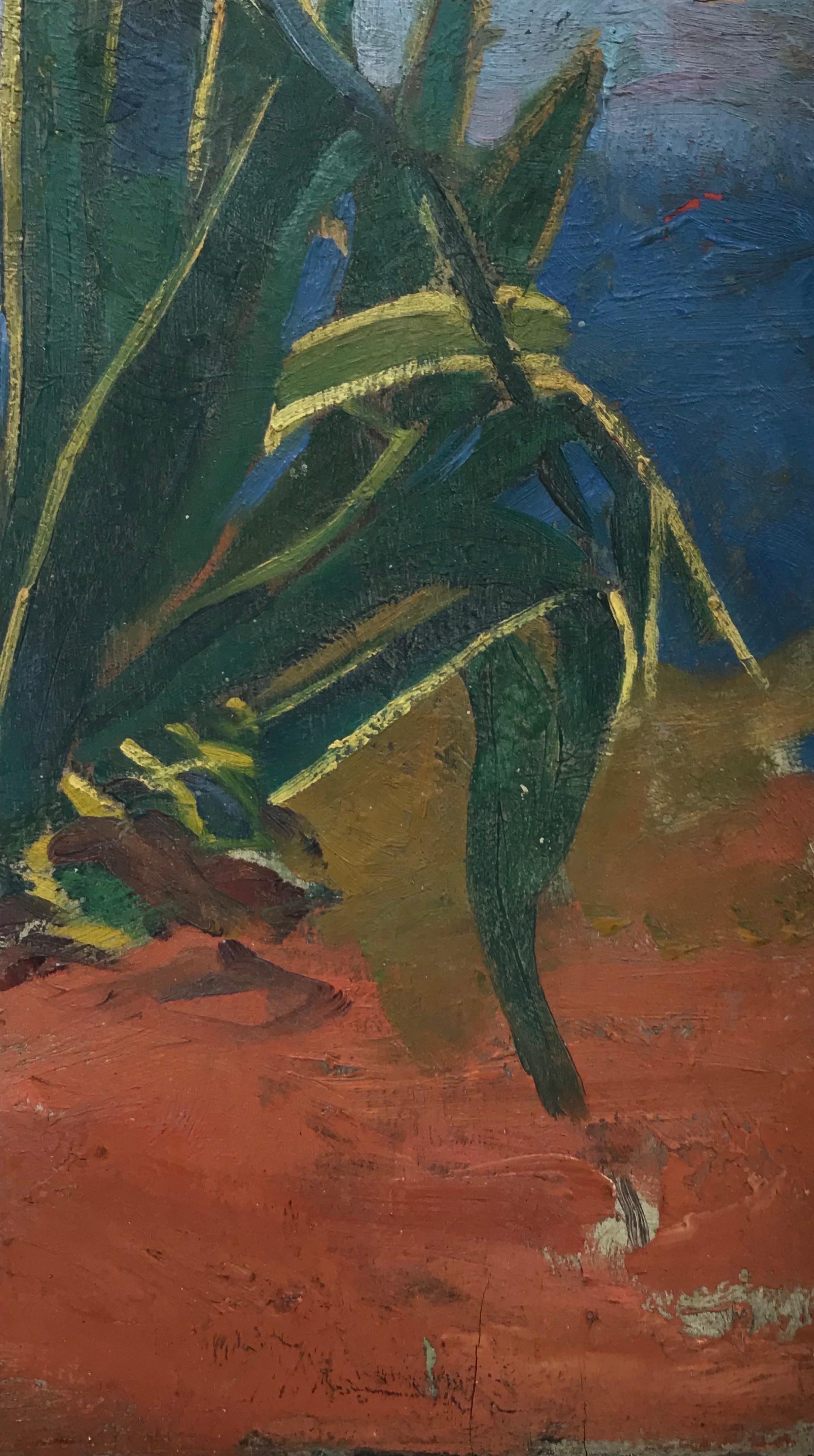 Französisches postimpressionistisches Ölgemälde der 1930er Jahre, Aloe Vera-Pflanze in der Wildnis im Angebot 2