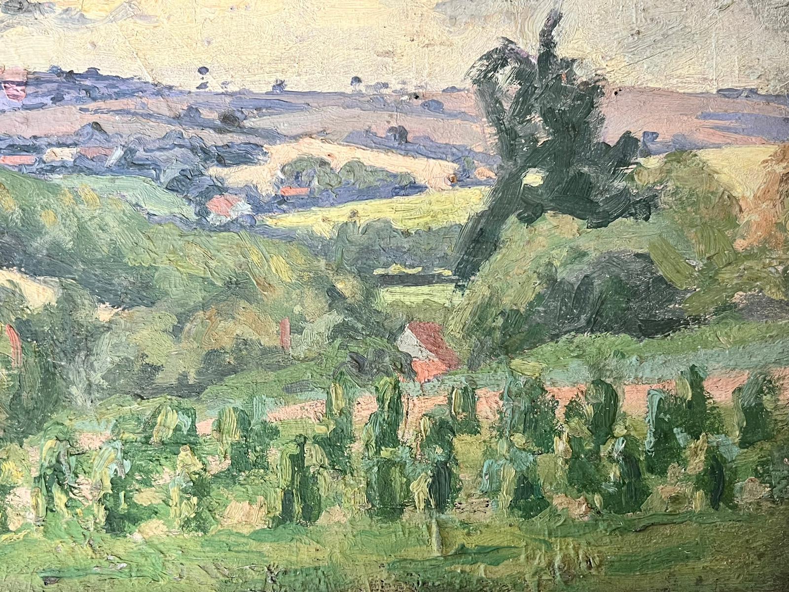 1930's French Post Impressionist Oil Painting - Rural Farm Green Landscape For Sale 1