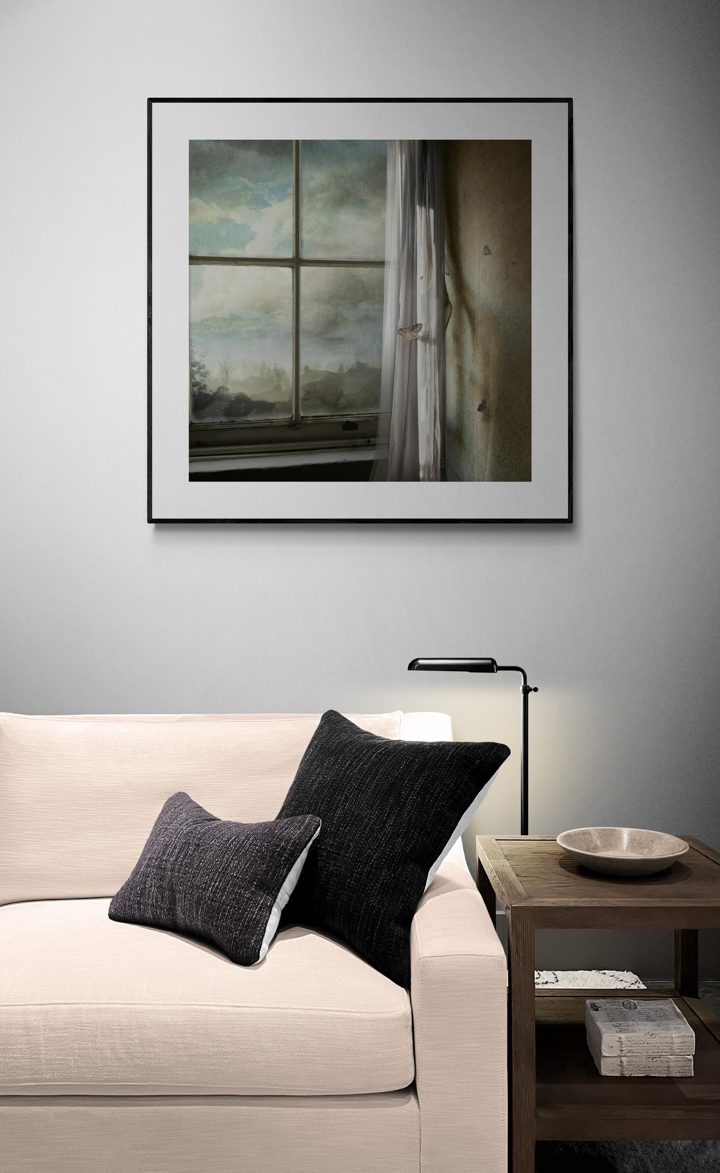 Aspect - Interior Photography, Butterfly Window, Landscape Photography - Contemporary Print by Suzanne Moxhay