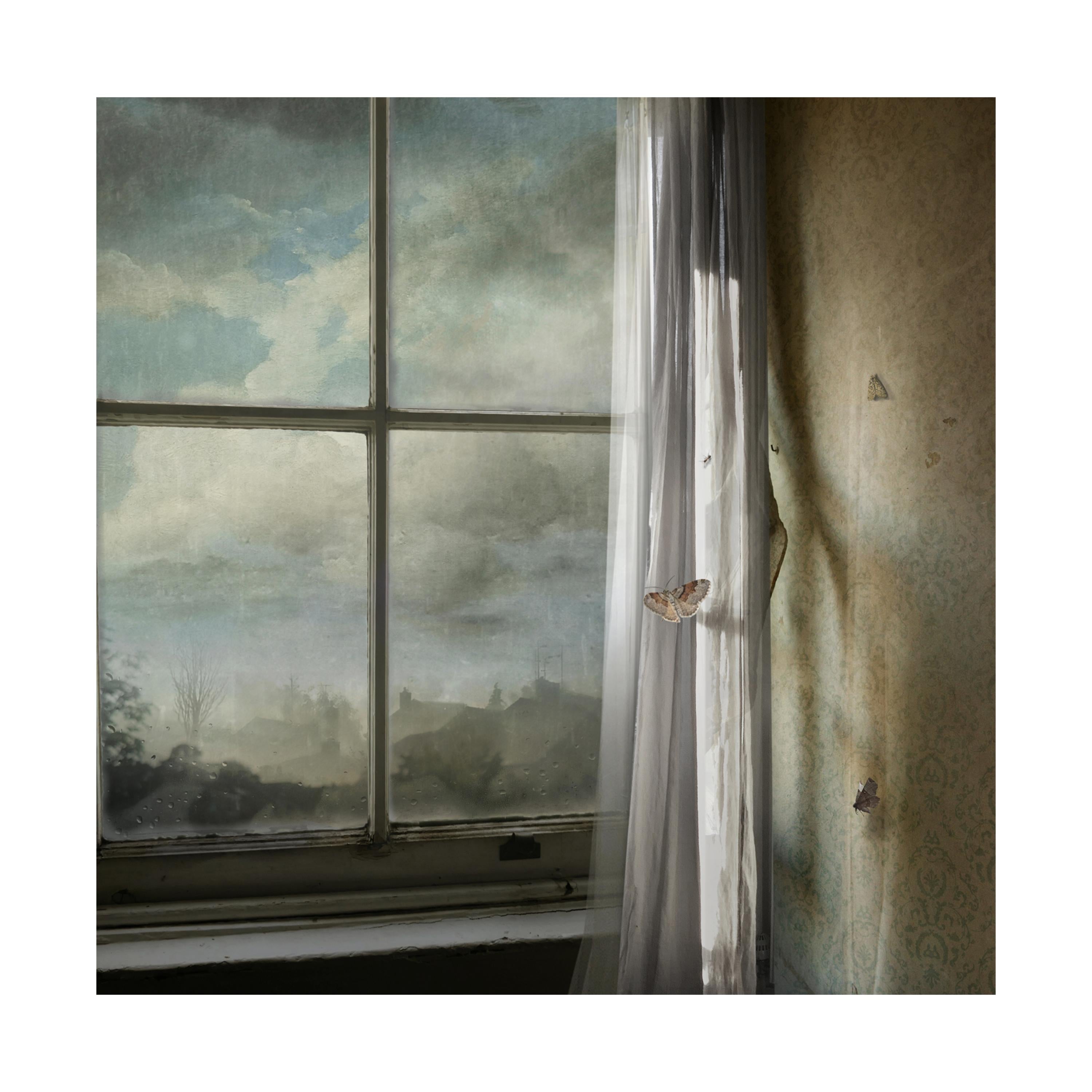 Aspect - Interior Photography, Butterfly Window, Landscape Photography - Gray Interior Print by Suzanne Moxhay