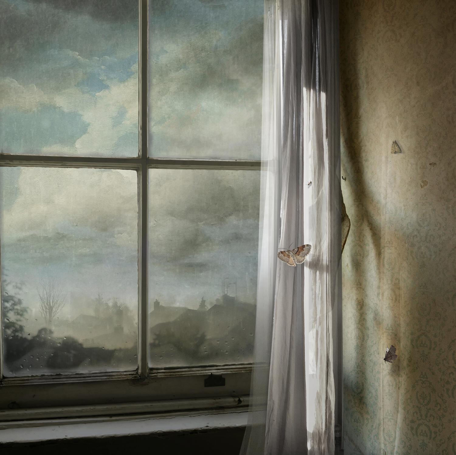 Suzanne Moxhay Interior Print - Aspect - Interior Photography, Butterfly Window, Landscape Photography