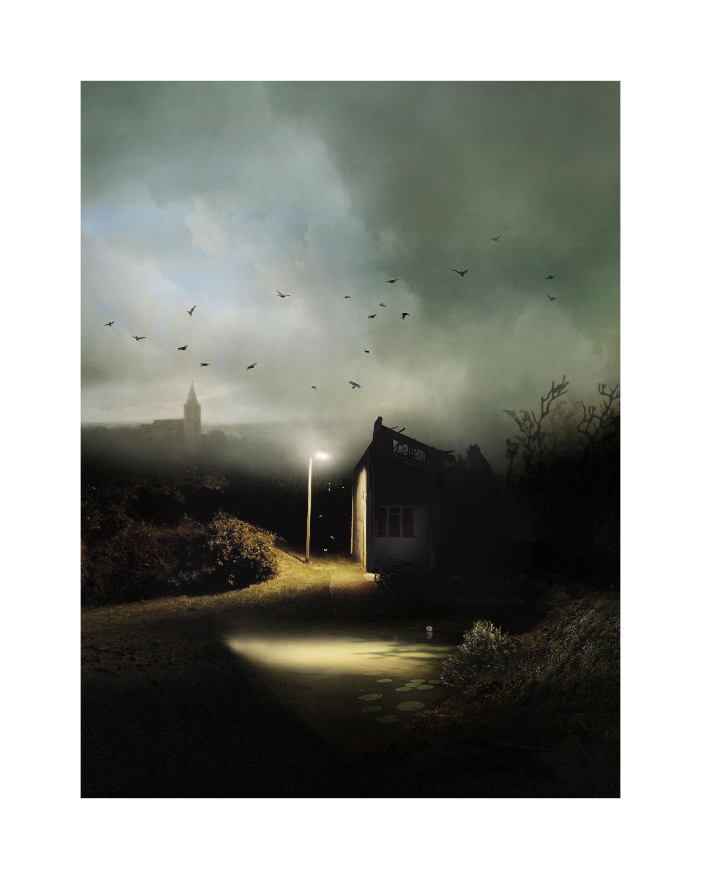 Congregation - Landscape Photography, Birds - Print by Suzanne Moxhay