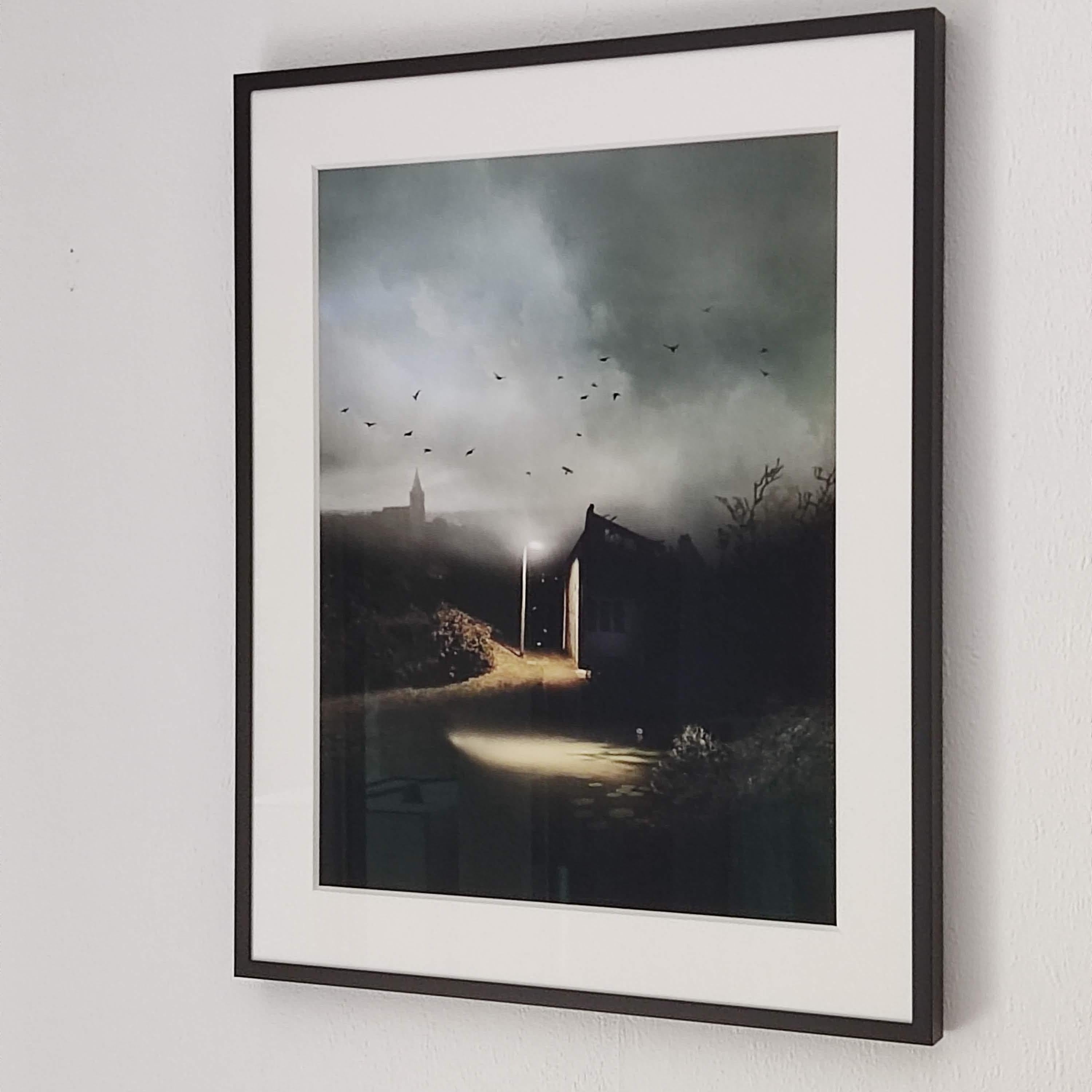 Congregation - Landscape Photography, Birds - Contemporary Print by Suzanne Moxhay