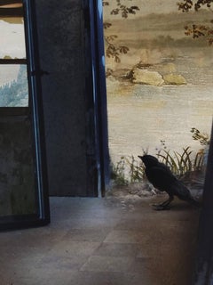 Doorway by Suzanne Moxhay, Limited Edition, Interior and Landscape, Bird, Mirror