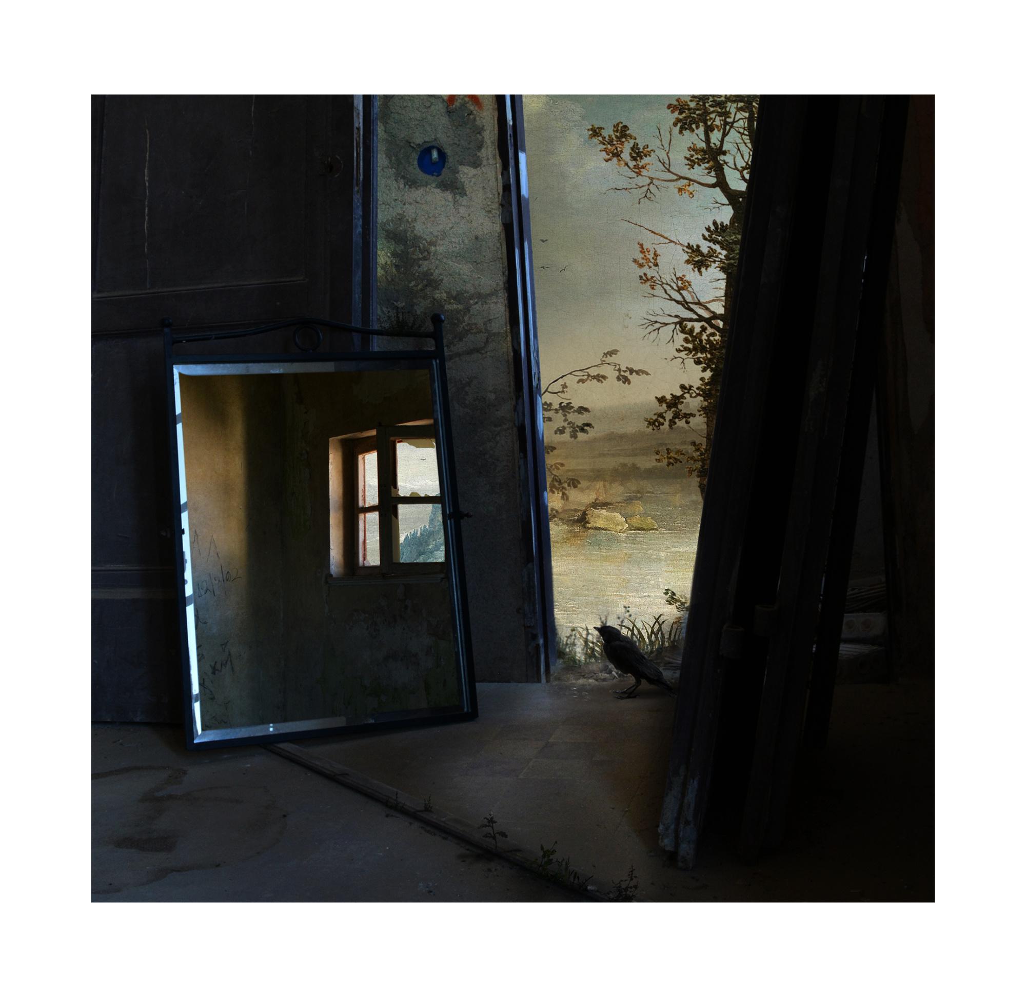 Porta, spazio interno, stampa con pigmenti d'archivio, edizione di 15, uccello, specchio - Photograph Contemporaneo di Suzanne Moxhay