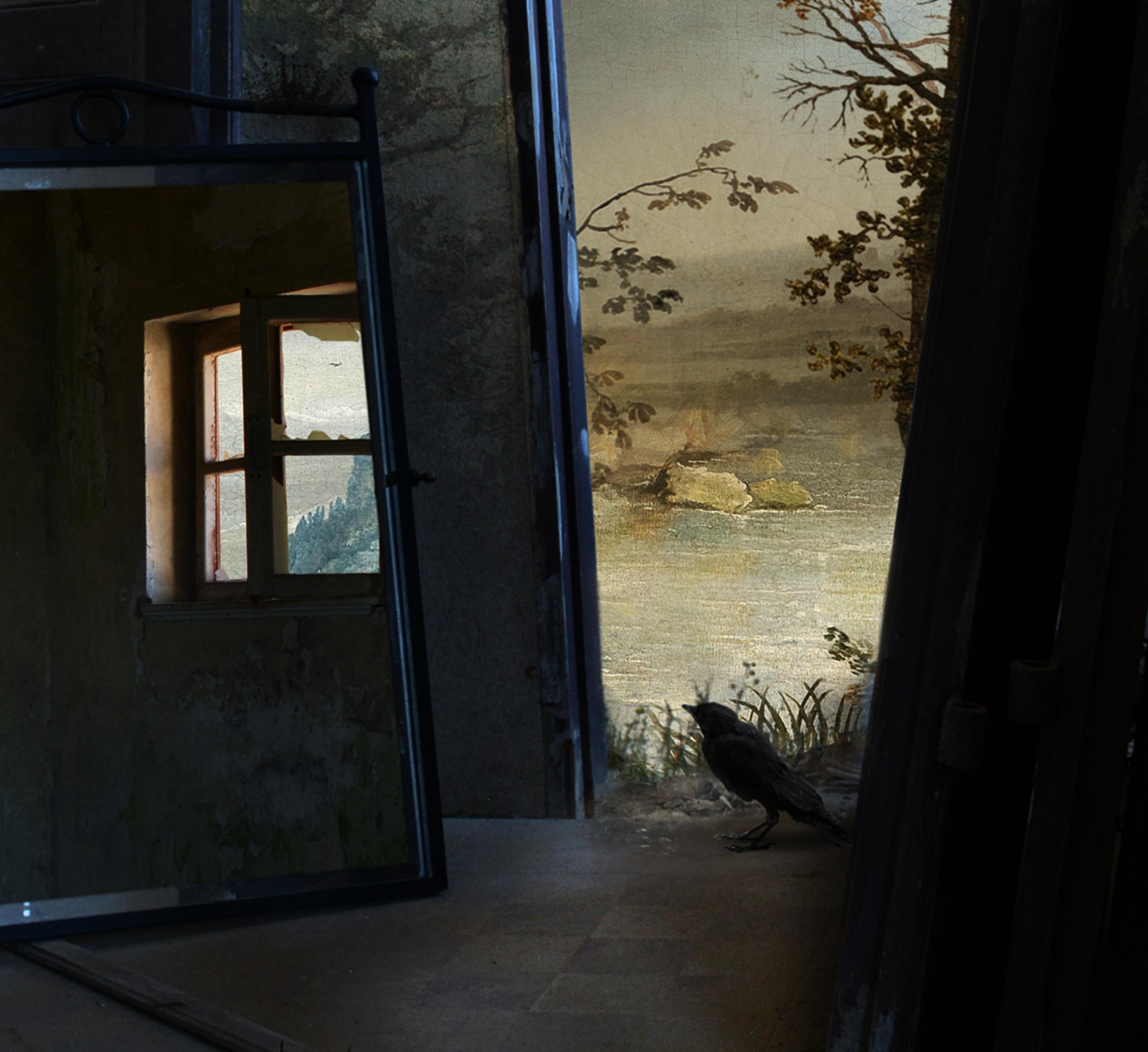 Porta, spazio interno, stampa con pigmenti d'archivio, edizione di 15, uccello, specchio - Landscape Photograph Nero di Suzanne Moxhay
