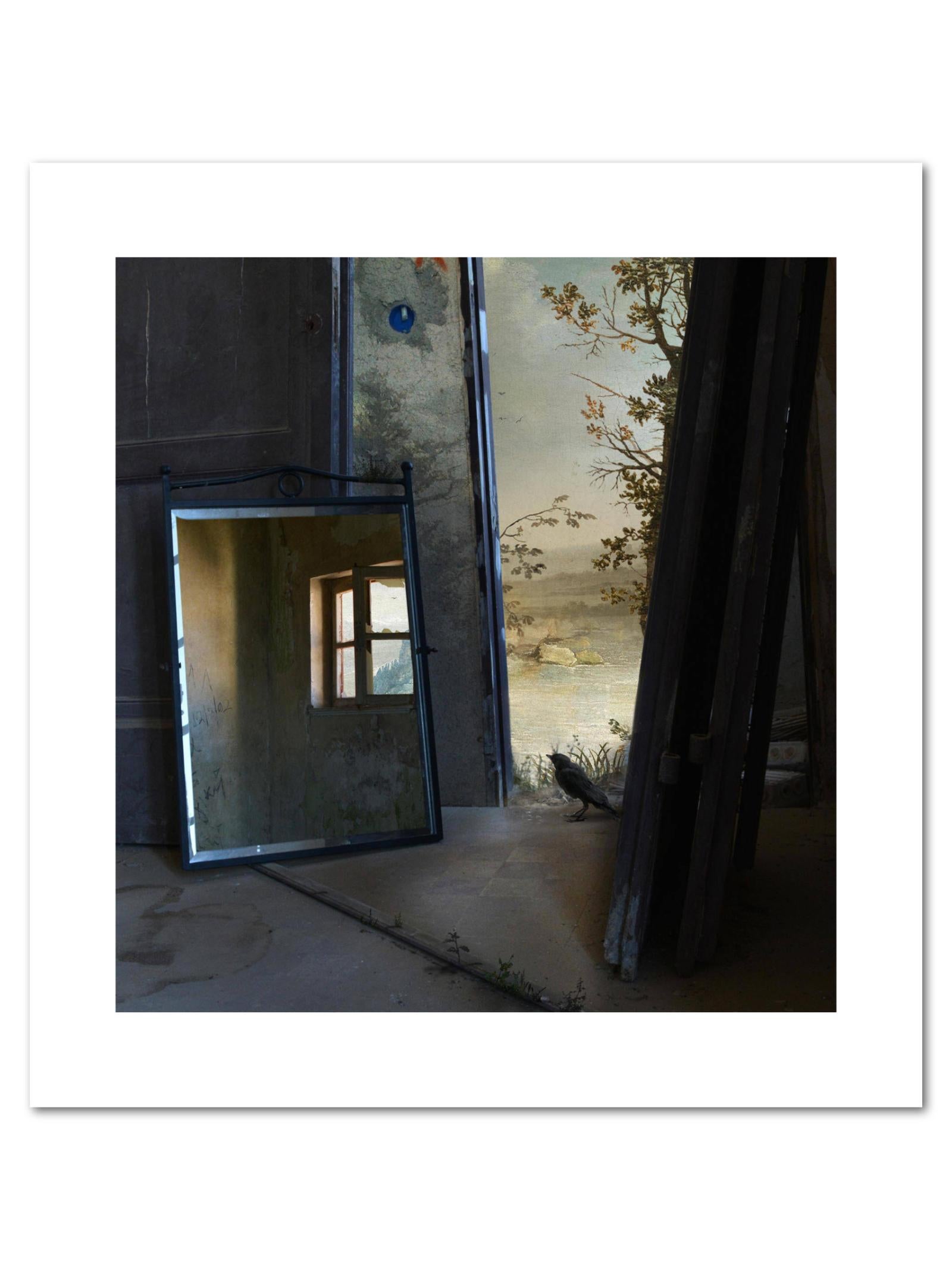 Porte, espace intérieur, Impression pigmentaire d'art, édition de 15 exemplaires, Oiseau, Miroir en vente 3
