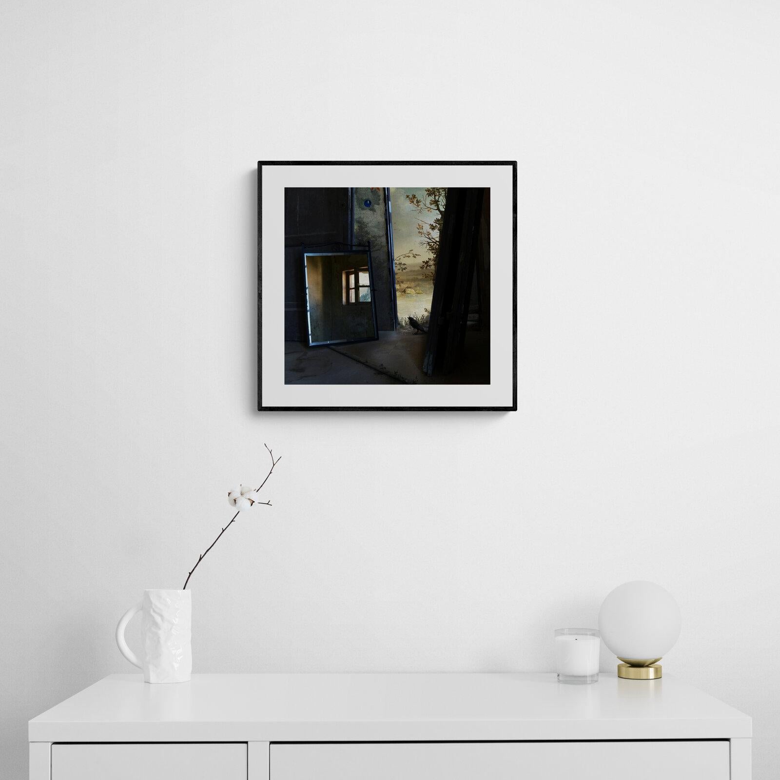 Porte, espace intérieur, Impression pigmentaire d'art, édition de 15 exemplaires, Oiseau, Miroir en vente 4