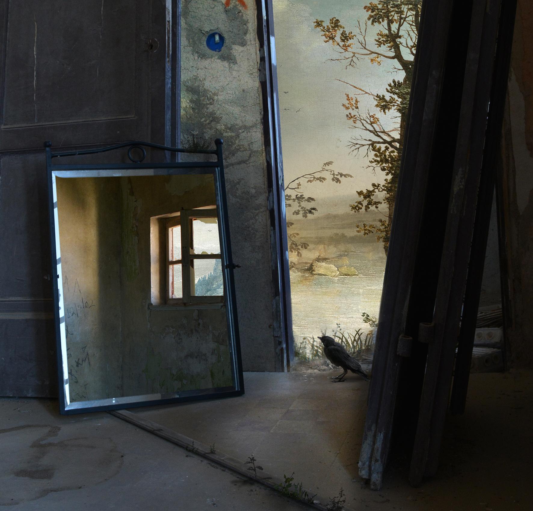 Puerta, Espacio Interior, Impresión en pigmento de archivo, Edición de 15, Pájaro, Espejo