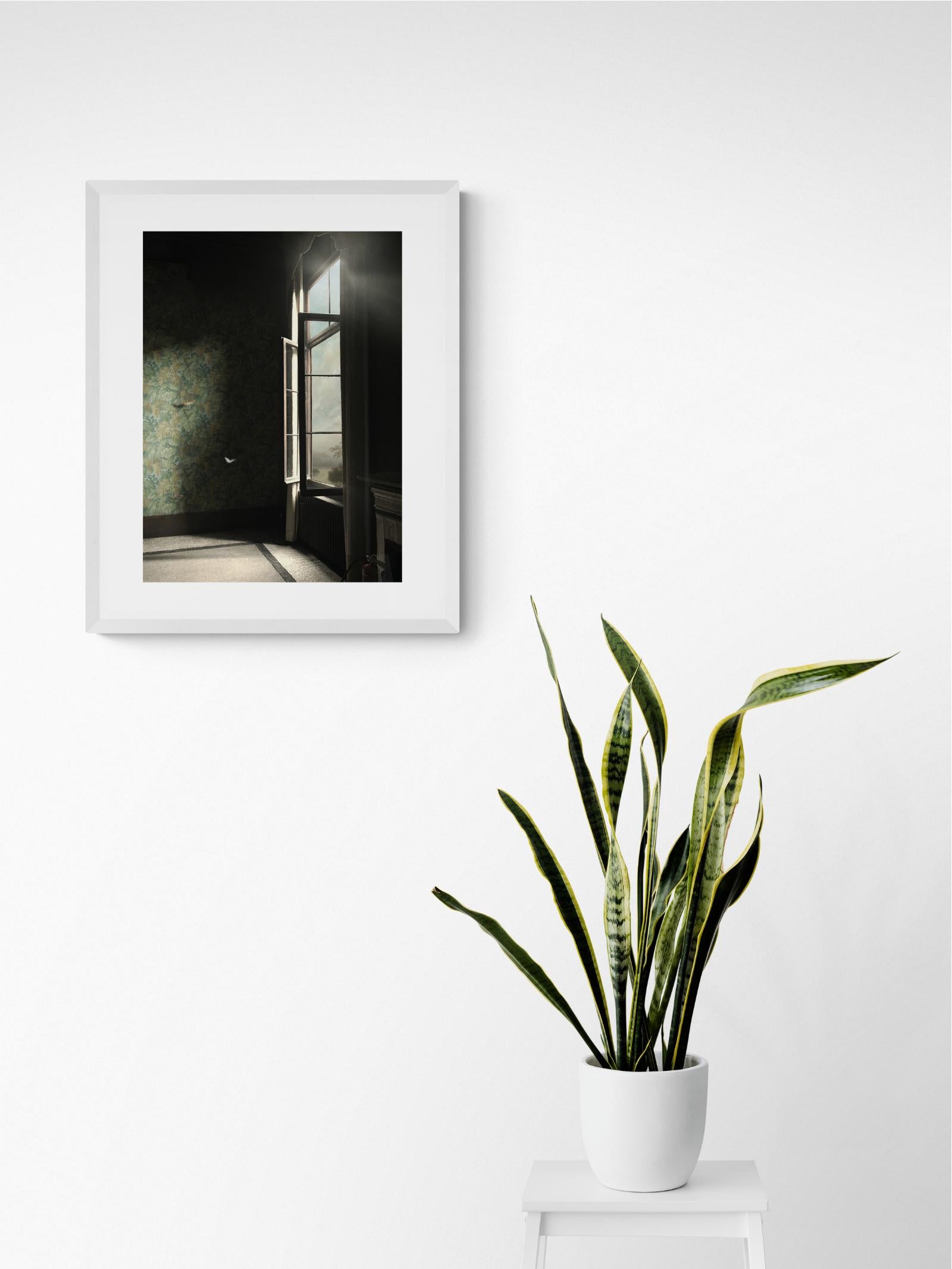 Eingangsfotografie VIII – Innenfotografie, Fotomontage, Film (Zeitgenössisch), Print, von Suzanne Moxhay