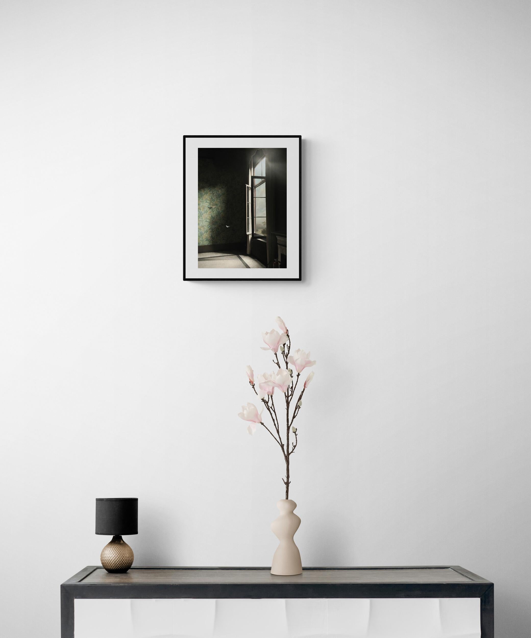Entrance VIII - Interior Photography, Photomontage, Film-making - Contemporary Print by Suzanne Moxhay