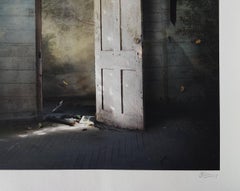 Entrance VI - Interior Photography, Photomontage, Door