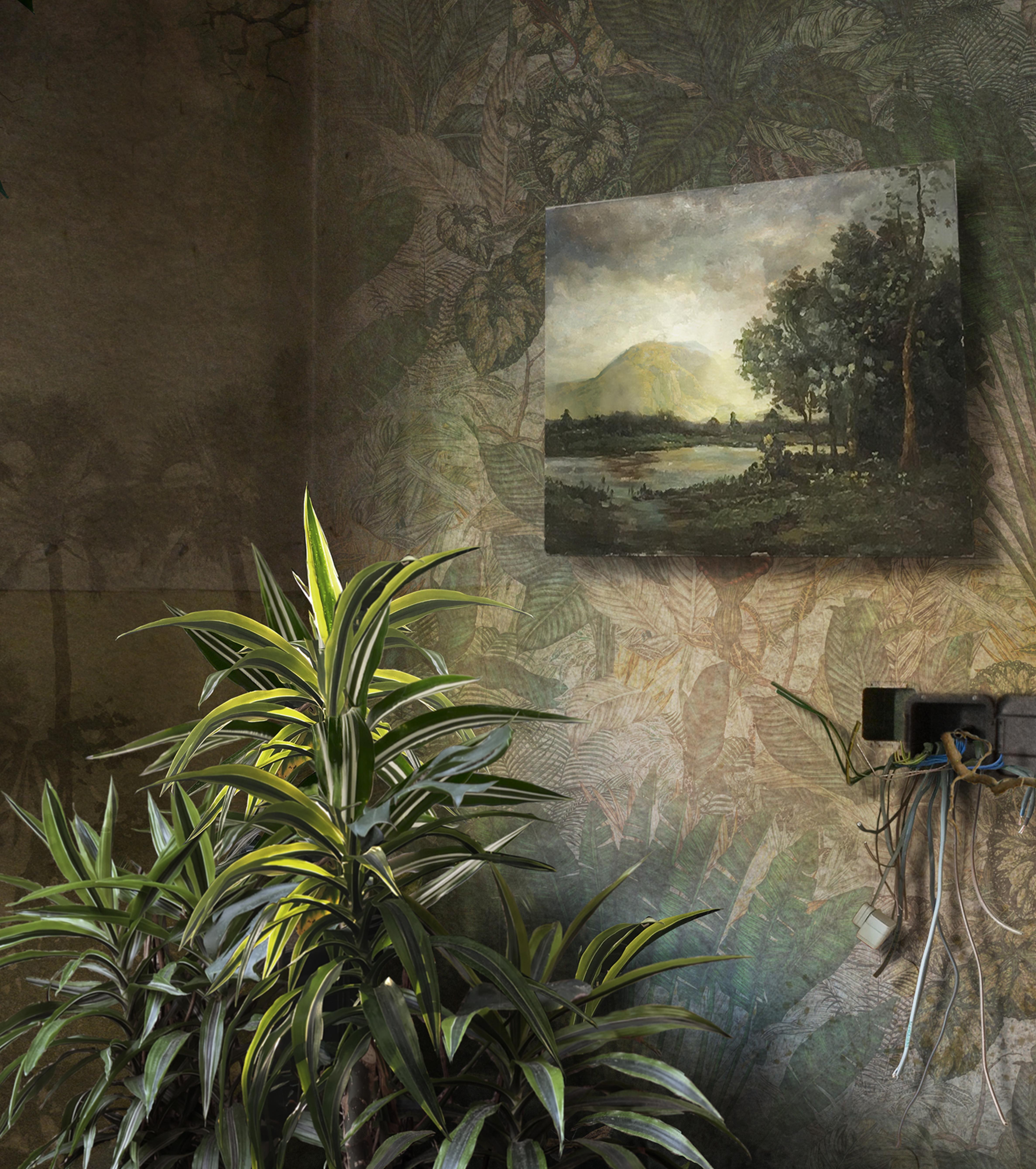 Híbrido, Fotografía de Interiores, Plantas, Naturaleza - Photograph de Suzanne Moxhay