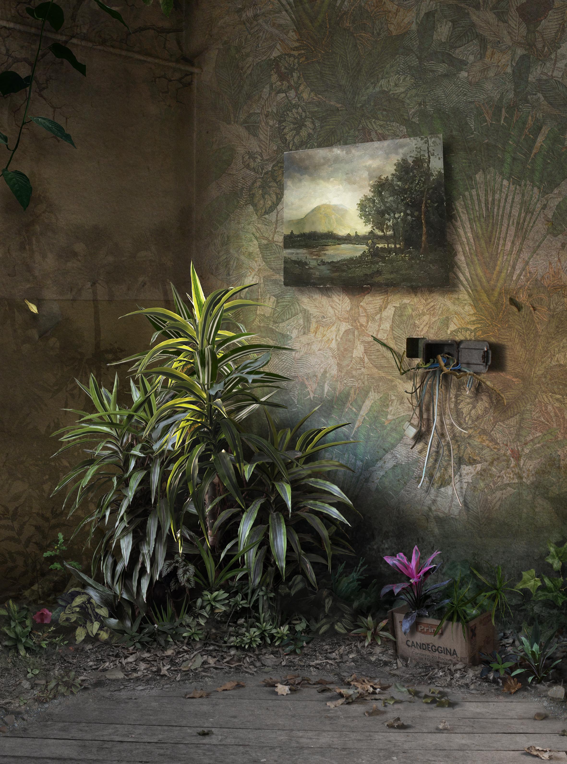 Suzanne Moxhay Landscape Photograph - Hybrid, Interior Photography, Plants, Nature