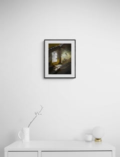 Mural - Archivalischer Pigmentdruck, limitierte Auflage, Innenfotografie, Vögel