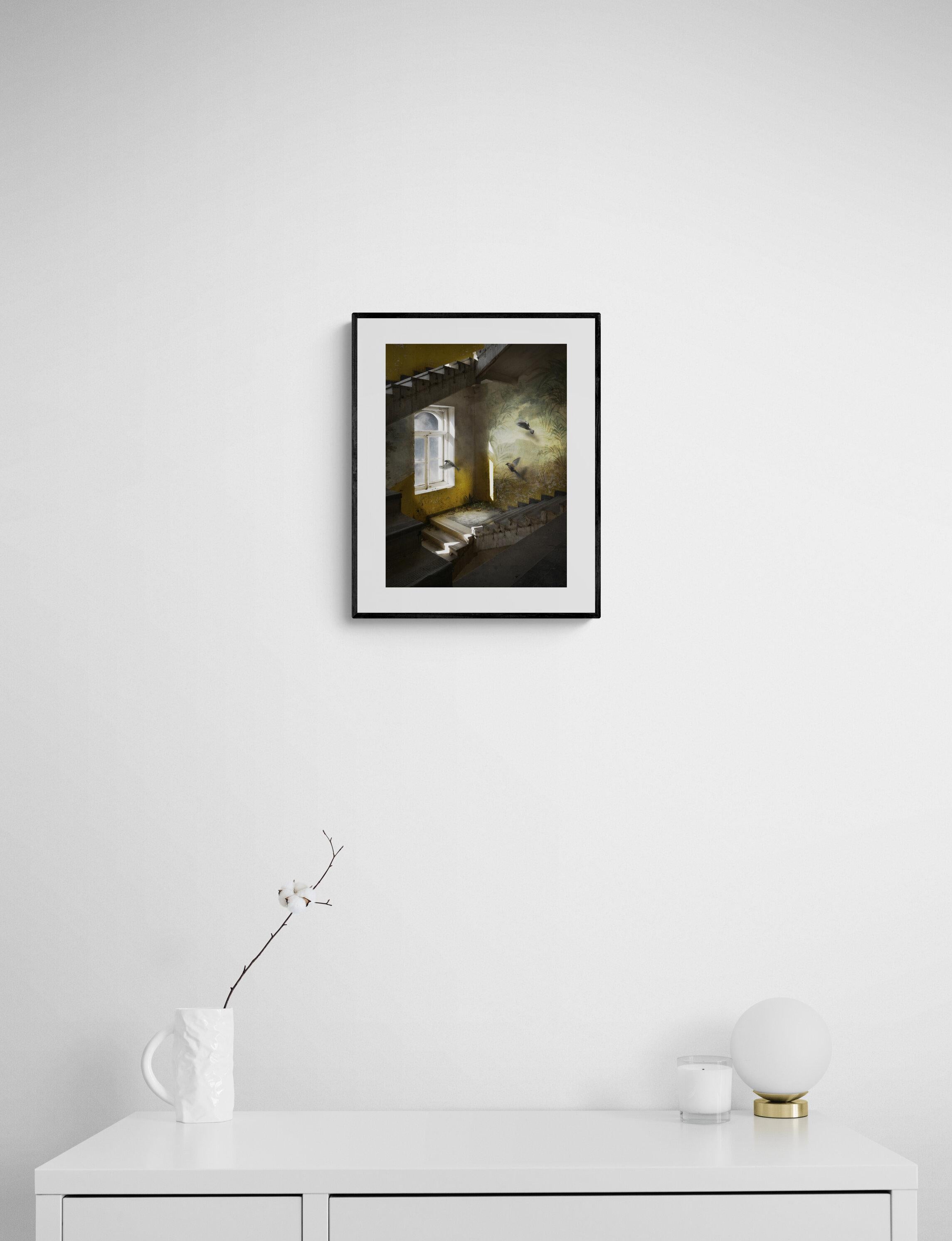 Mural - Archival Pigment Print, Limited Edition, Interior Photography, Birds - Black Interior Print by Suzanne Moxhay