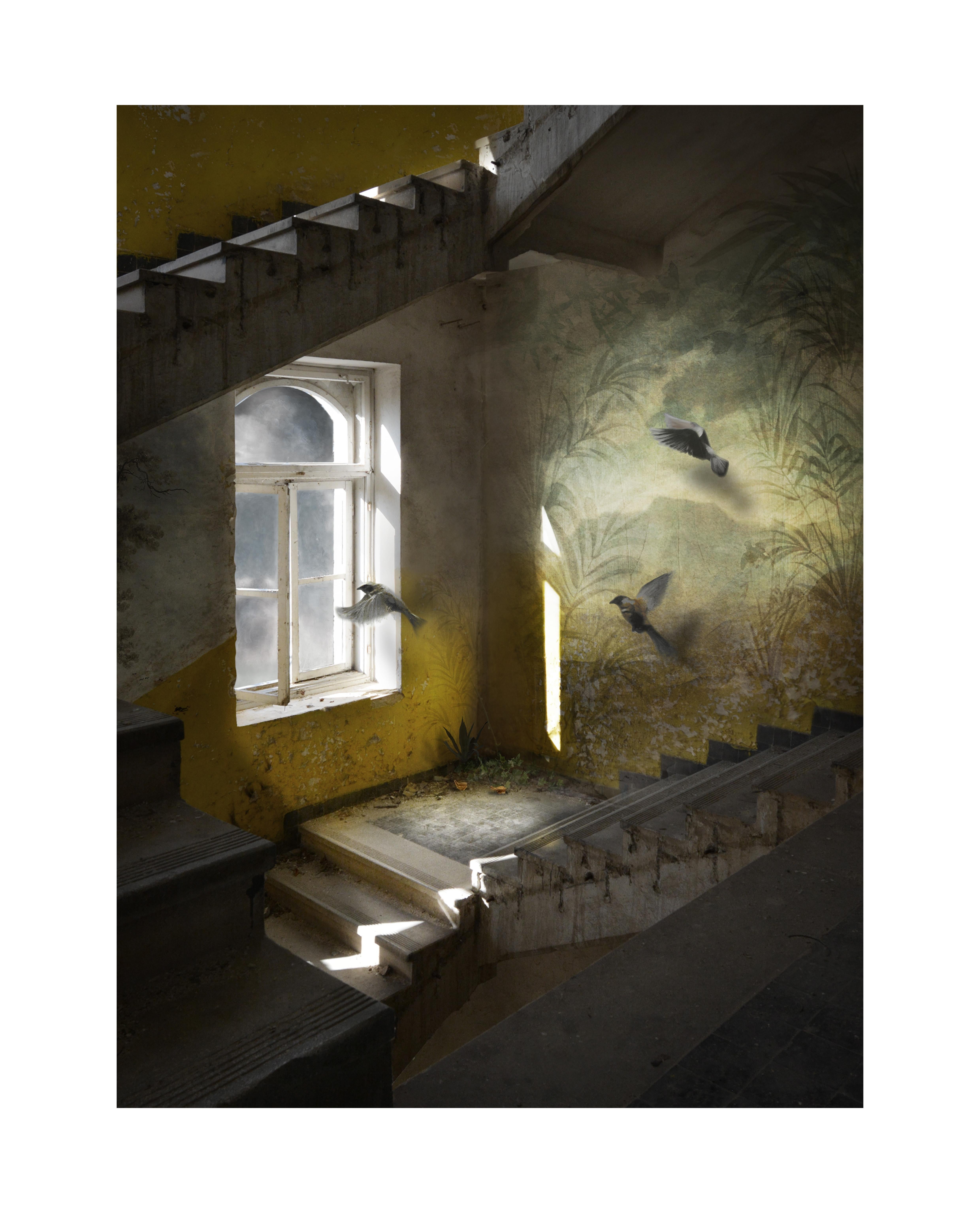 Suzanne Moxhay Interior Print - Mural - Archival Pigment Print, Limited Edition, Interior Photography, Birds