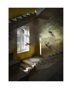 Mural - Archival Pigment Print, Limited Edition, Interior Photography, Birds