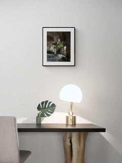 Palm - Interior Photography, Film Making, Photomontage, Plants, Birds